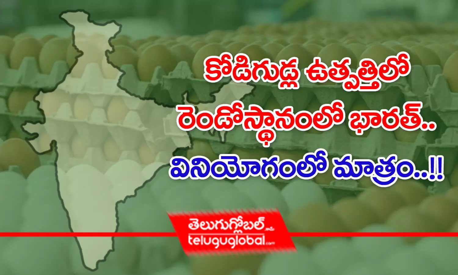 కోడిగుడ్ల ఉత్పత్తిలో రెండోస్థానంలో భారత్.. వినియోగంలో మాత్రం!!