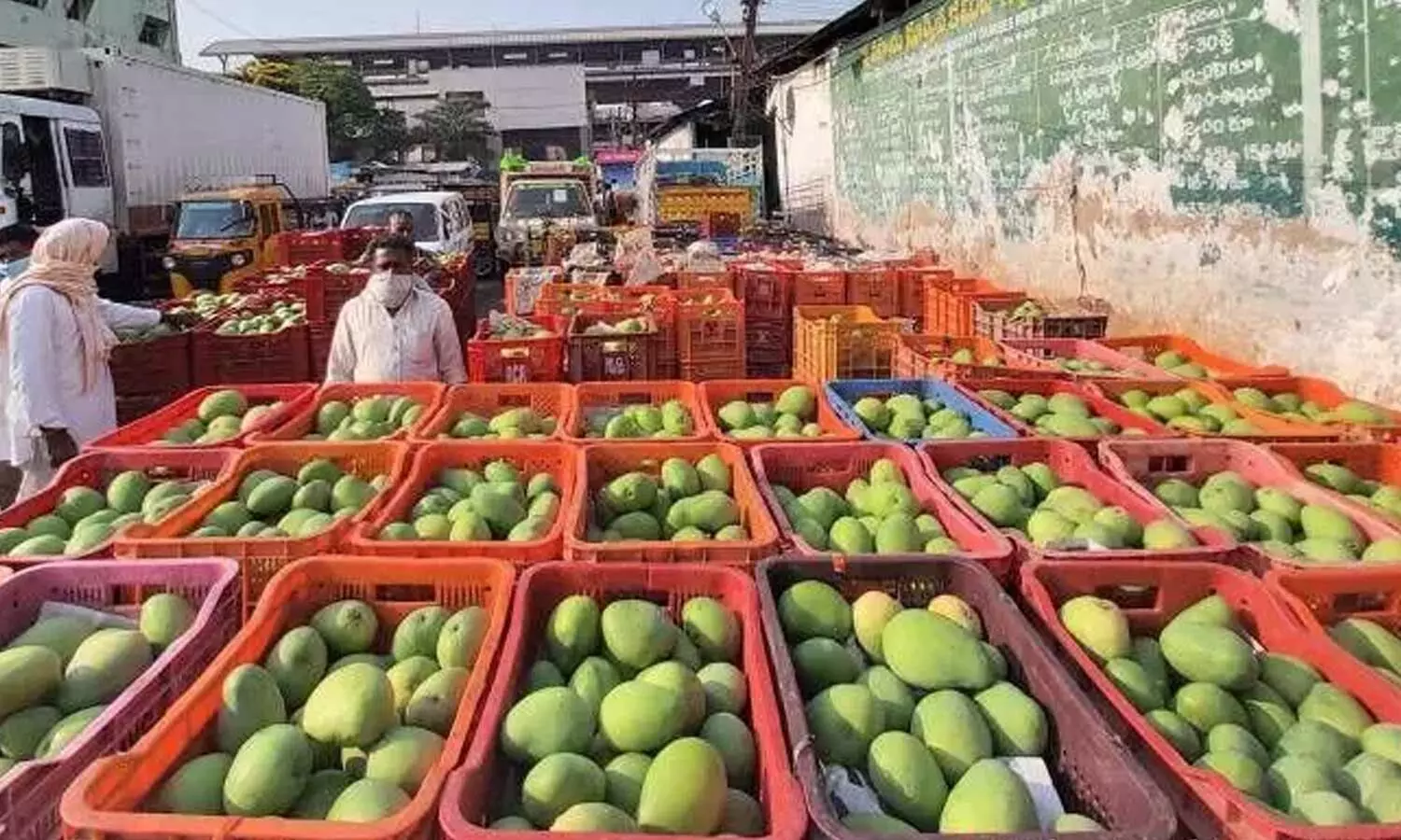 తెలంగాణ మరో రికార్డు: డిమాండ్ కన్నా మూడు రెట్ల పండ్ల‌ ఉత్పత్తి - ఎగుమతులే లక్ష్యం