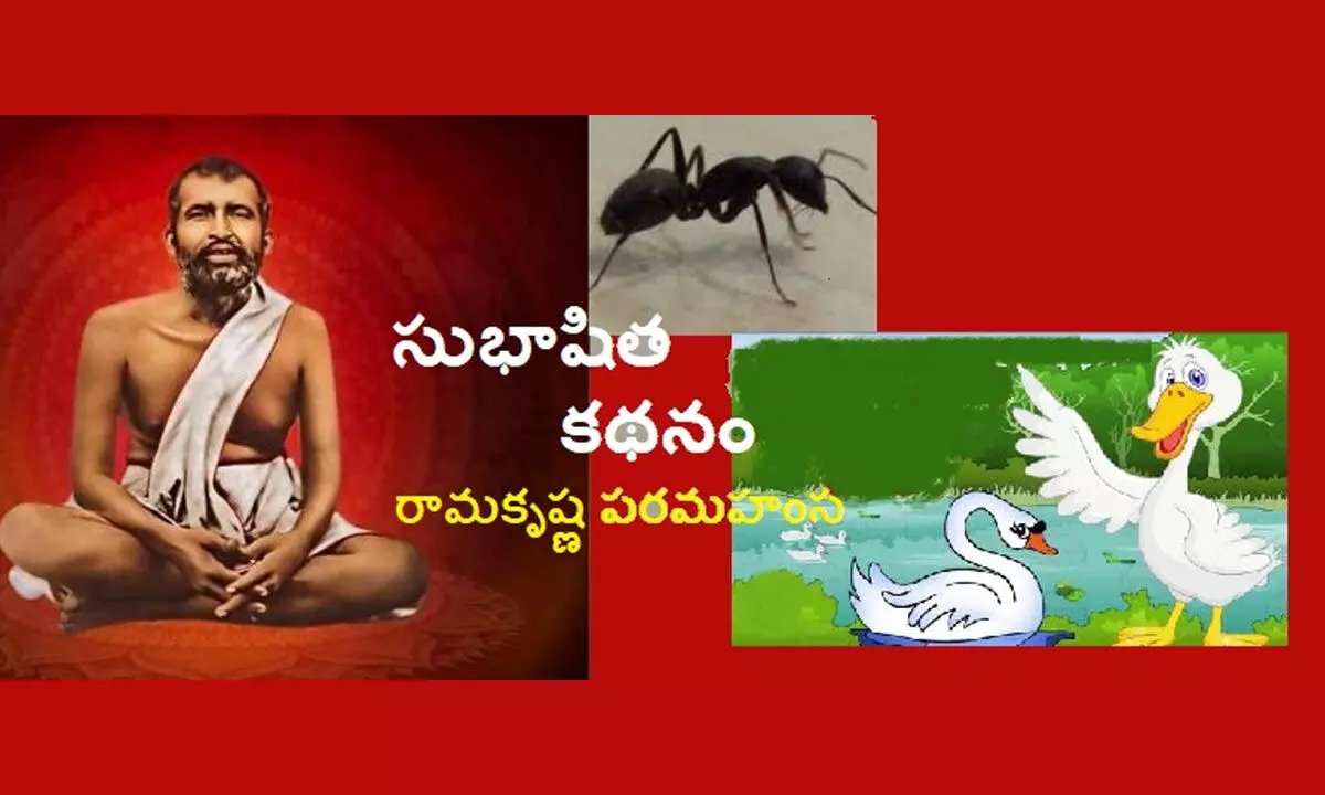 సుభాషిత కథనం - రామకృష్ణ పరమహంస