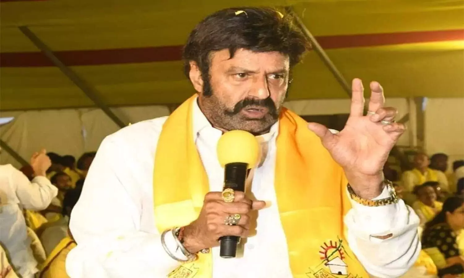 Balakrishna: జగన్ మళ్లీ గెలిస్తే ప్రజలు వలస పోవాల్సిందే: బాలకృష్ణ