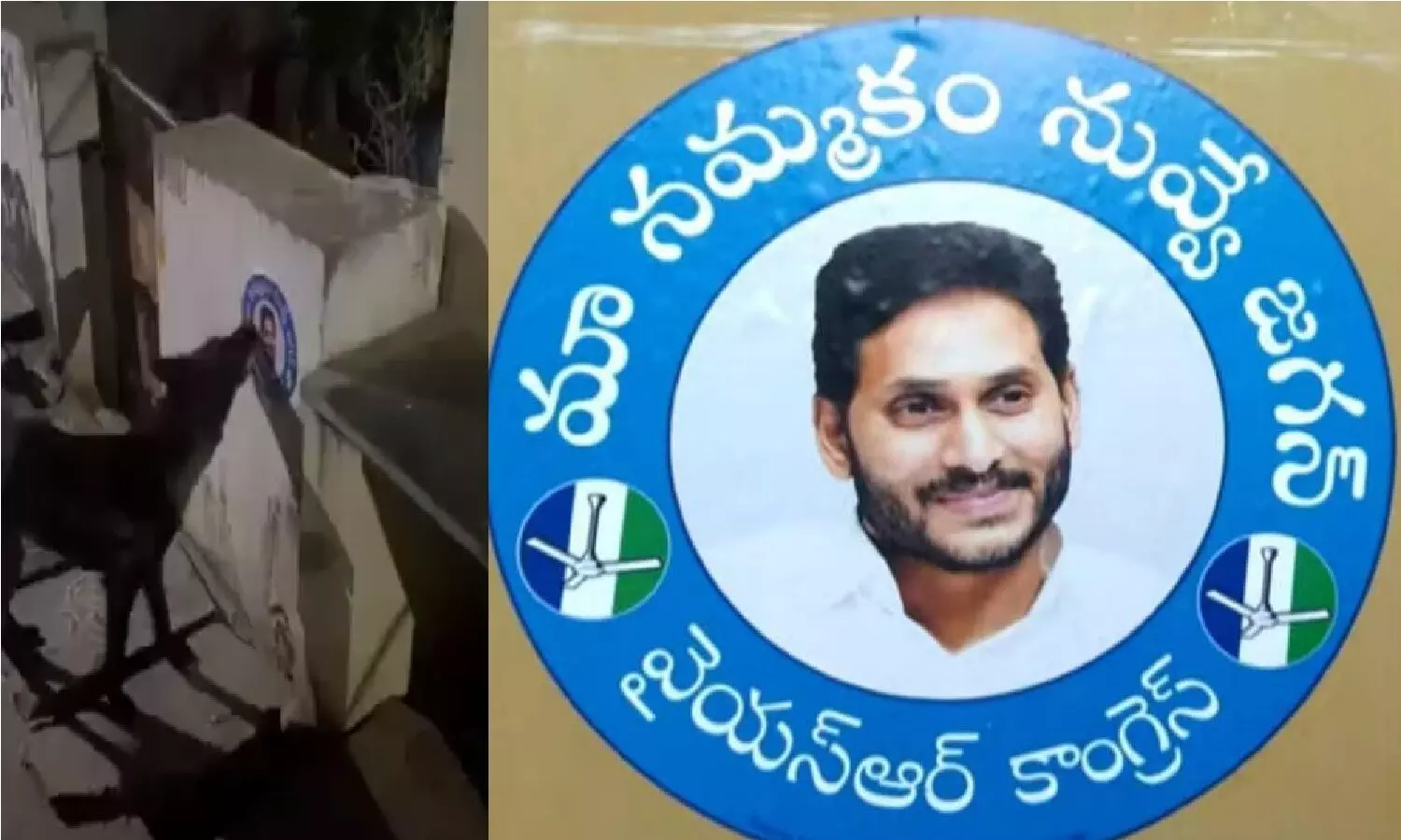 జగన్ స్టిక్కర్ పీకేసిన కుక్కపై పోలీస్ కేసు..!