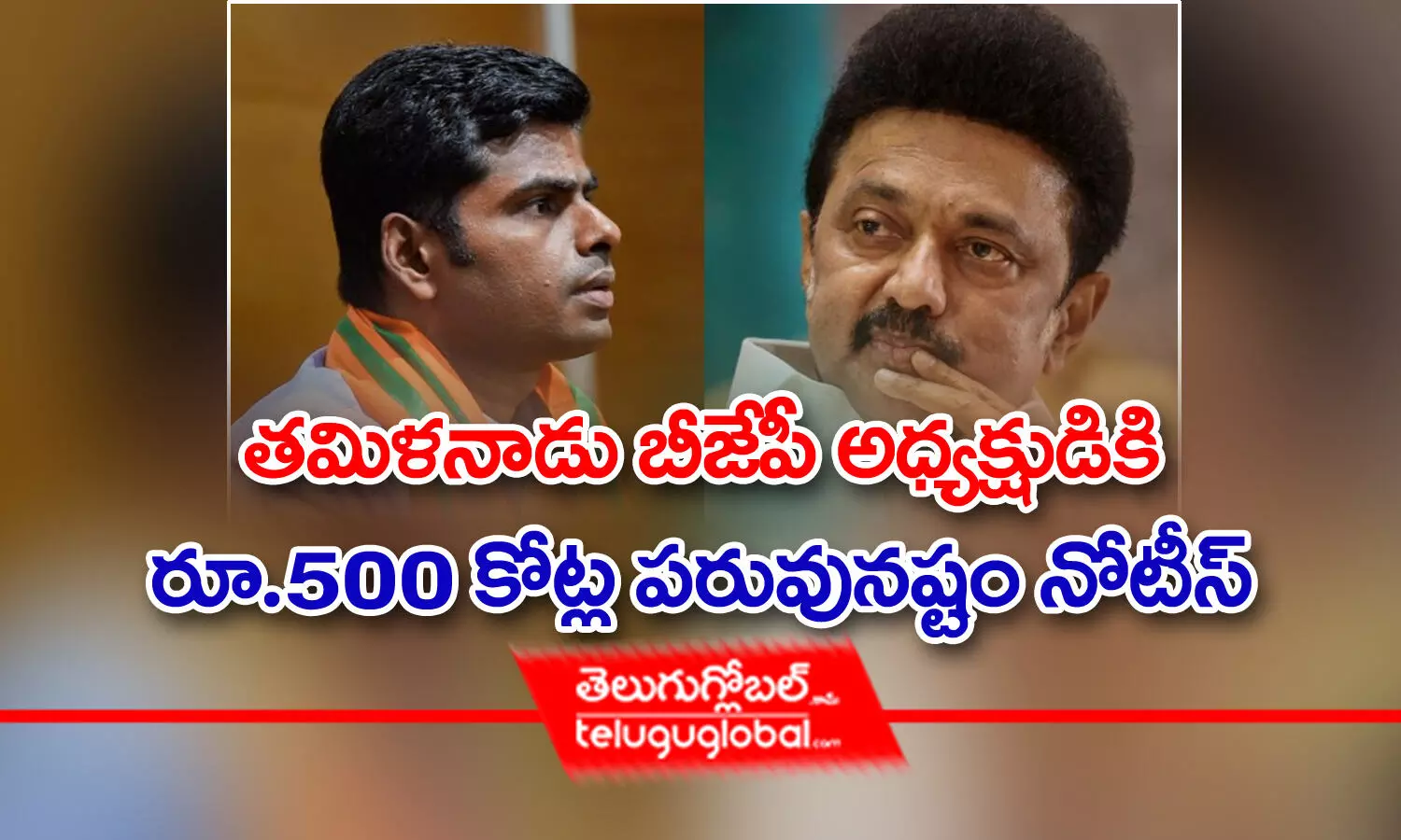 త‌మిళ‌నాడు బీజేపీ అధ్య‌క్షుడికి రూ.500 కోట్ల ప‌రువు న‌ష్టం నోటీస్‌