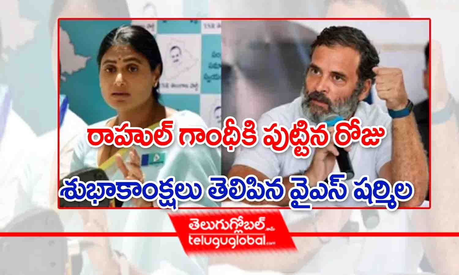 రాహుల్ గాంధీకి పుట్టిన రోజు శుభాకాంక్షలు తెలిపిన వైఎస్ షర్మిల | YS ...