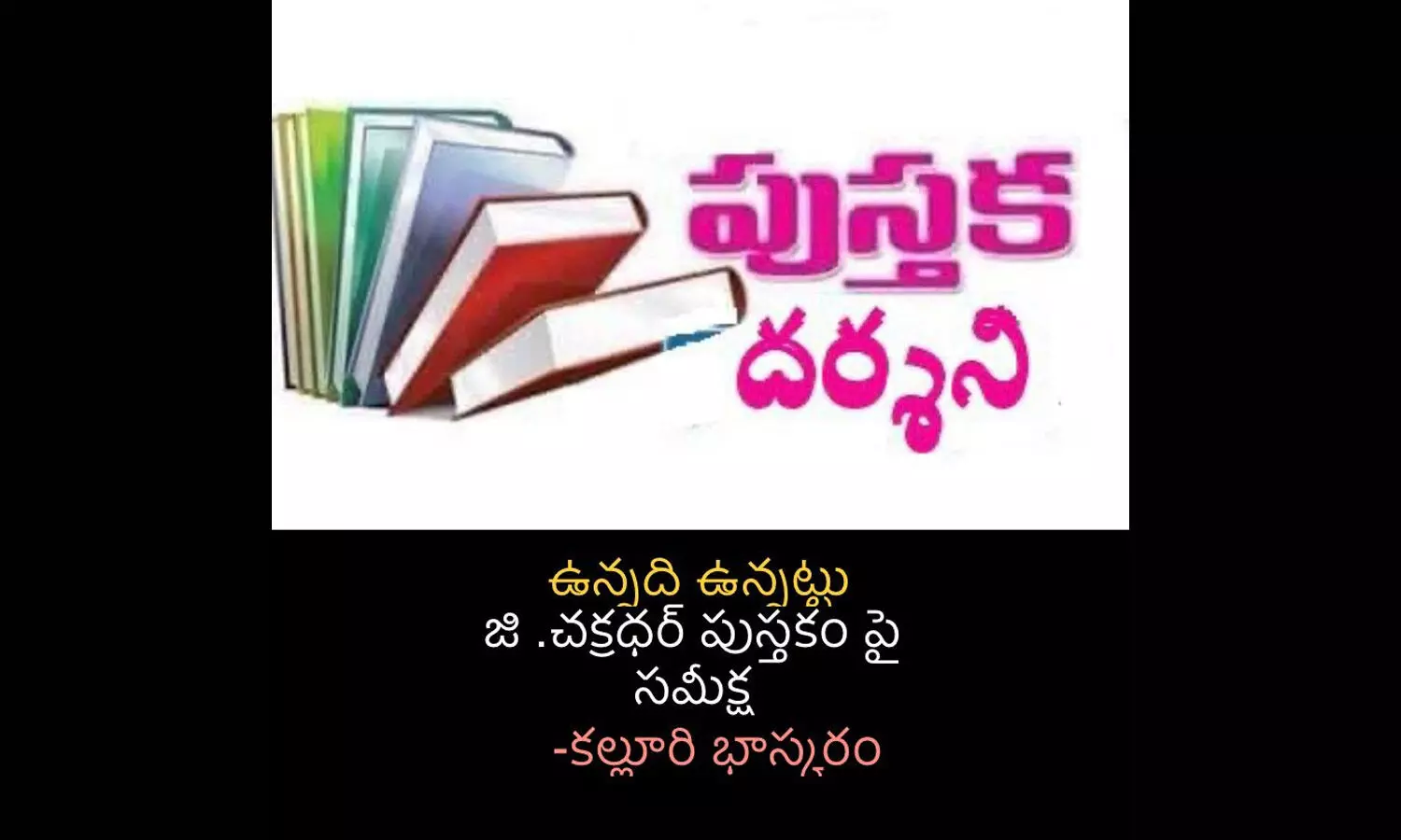 పుస్తక దర్శని...ఉన్నది ఉన్నట్టు