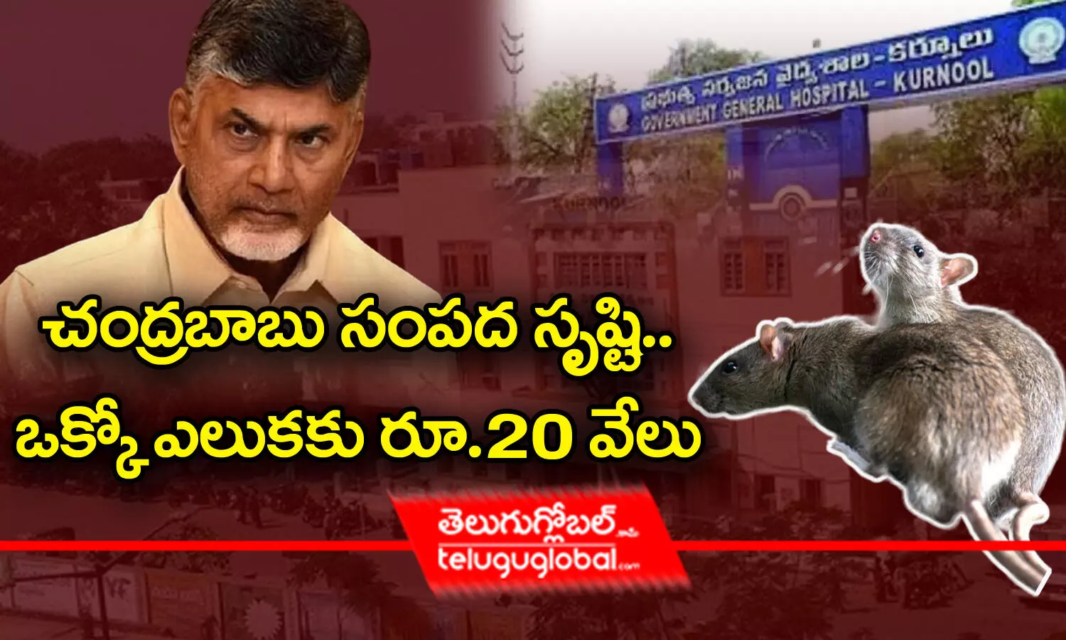 చంద్రబాబు సంపద సృష్టి.. ఒక్కో ఎలుకకు రూ.20 వేలు