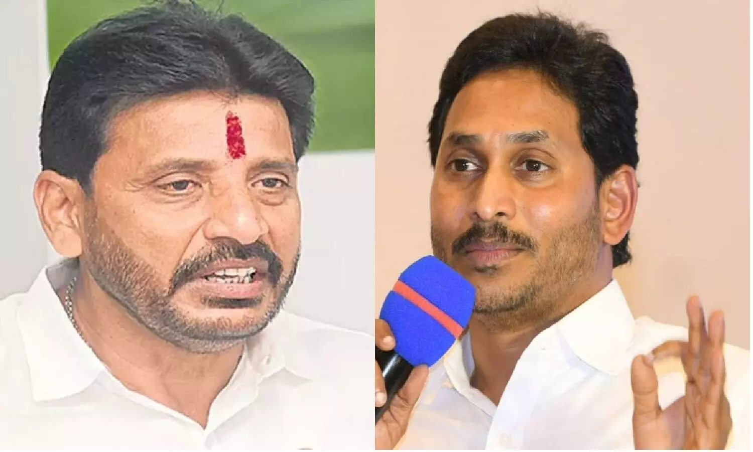 దువ్వాడపై వేటు వేసిన జగన్