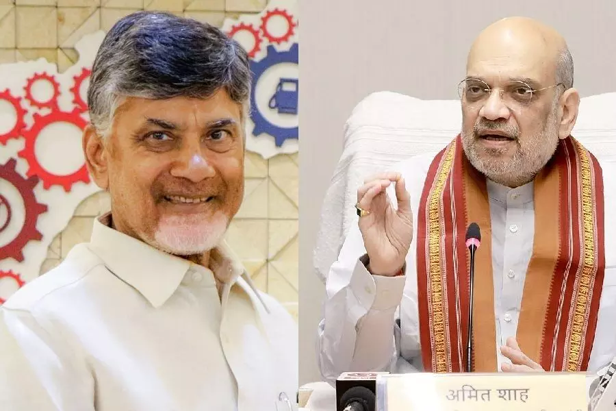 మహా ఎన్నికల ఫలితాలపై చంద్రబాబు హర్షం