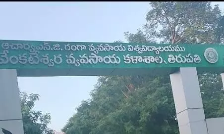 యూనివర్సిటీలో విద్యార్థినిపై  ప్రొఫెసర్ వేధింపులు..అరెస్ట్