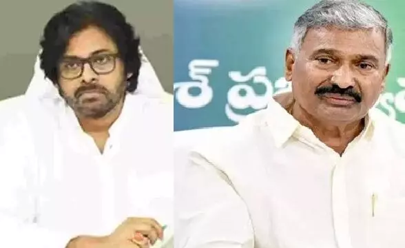 పెద్దిరెడ్డి భూ ఆక్రమణలపై విచారణకు పవన్‌ ఆదేశం