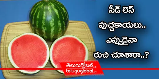 సీడ్ లెస్ పుచ్చకాయలు.. ఎప్పుడైనా రుచి చూశారా..?