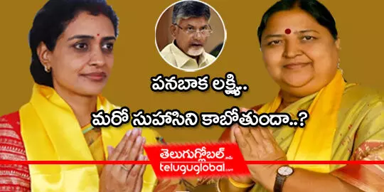 పనబాక లక్ష్మి.. మరో సుహాసిని కాబోతుందా?