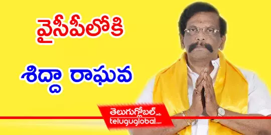 వైసీపీలోకి శిద్దా రాఘవ