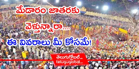 మేడారం జాతరకు వెళ్తున్నారా.... ఈ వివరాలు మీ కోసమే!