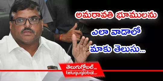 అమరావతి భూములను ఎలా వాడాలో మాకు తెలుసు...