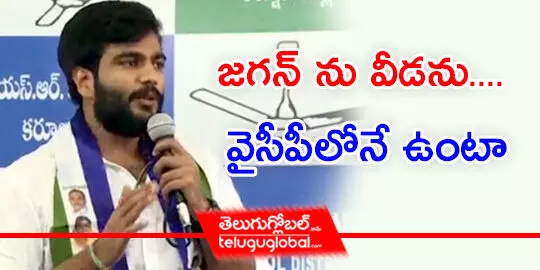 జగన్‌ ను వీడను.... వైసీపీలోనే ఉంటా