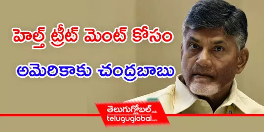 వైద్యం కోసం అమెరికాకు చంద్రబాబు