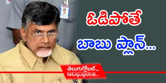 ఓడిపోతే బాబు ప్లాన్...