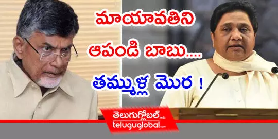 మాయావతిని ఆపండి బాబు.... తమ్ముళ్ల మొర !