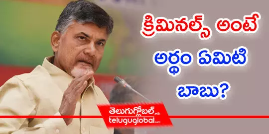 క్రిమినల్స్‌ అంటే అర్థం ఏమిటి బాబు?