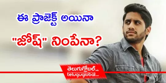 ఈ ప్రాజెక్ట్ అయినా జోష్ నింపేనా?