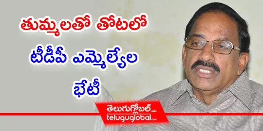 తుమ్మలతో తోటలో టీడీపీ ఎమ్మెల్యేల భేటీ