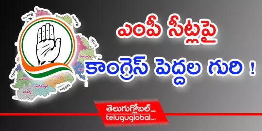 ఎంపీ సీట్ల‌పై కాంగ్రెస్ పెద్ద‌ల గురి !