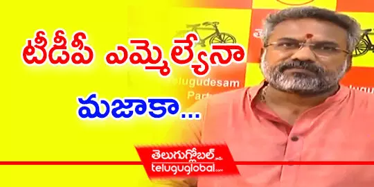 టీడీపీ ఎమ్మెల్యేనా మజాకా...