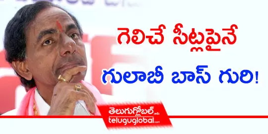 గెలిచే సీట్ల‌పైనే గులాబీ బాస్ గురి !