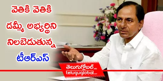 వెతికి వెతికి డమ్మీ అభ్యర్థిని నిలబెడుతున్న టీఆర్‌ఎస్