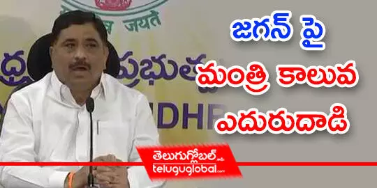 జగన్‌ పై మంత్రి కాలువ ఎదురుదాడి