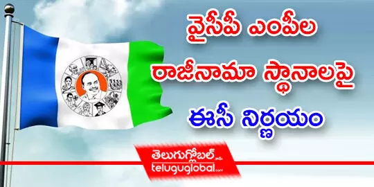 వైసీపీ ఎంపీల రాజీనామా స్థానాలపై ఈసీ నిర్ణయం