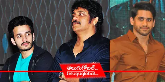 Akhils challenge to Nagarjuna, Naga Chaitanya