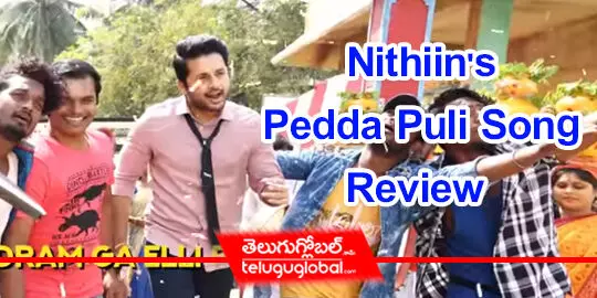 Nithiins Pedda Puli Song Review