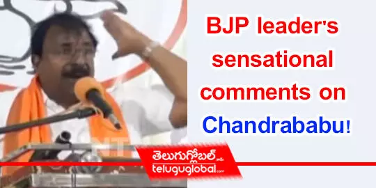 BJP leaders sensational comments on Chandrababu!