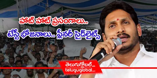 హాట్ హాట్ ప్రసంగాలు.. టేస్టీ భోజనాలు.. ప్లీనరీ సైడ్ లైట్స్