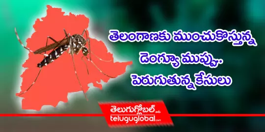 Dengue-threat-Telangana