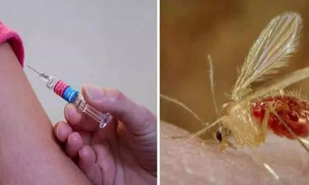 భయపెడుతున్న 'చండీపురా’ వైరస్.. లక్షణాలివే..