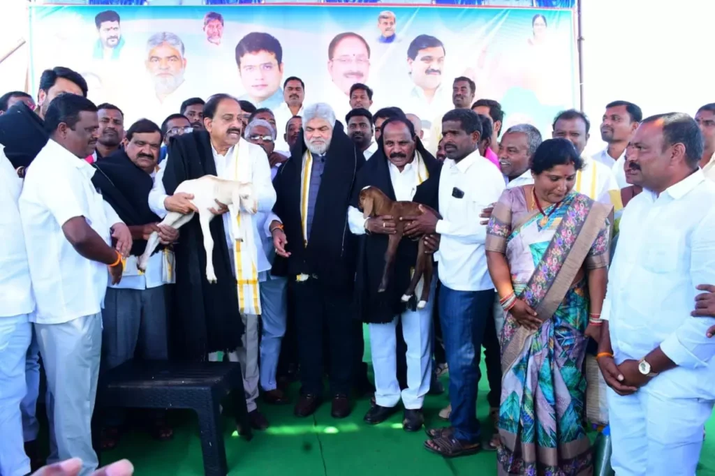 రాళ్లు రప్పలు