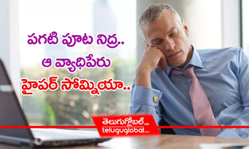 పగటి పూట నిద్ర.. ఆ వ్యాధిపేరు హైపర్ సోమ్నియా..