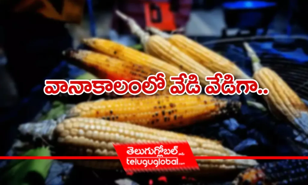 వానాకాలంలో వేడి వేడిగా..