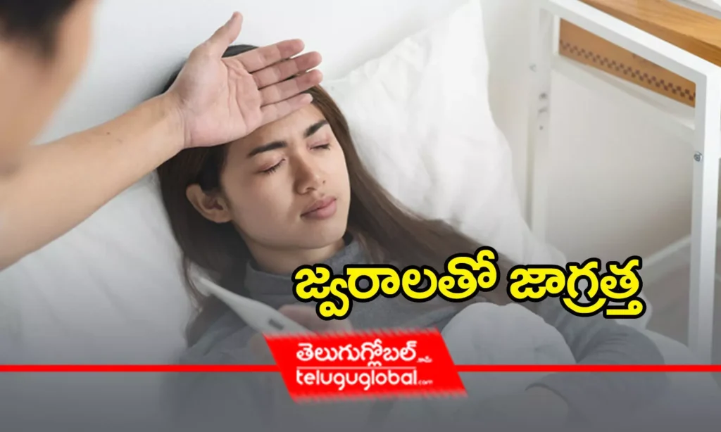 జ్వరాలతో జాగ్రత్త