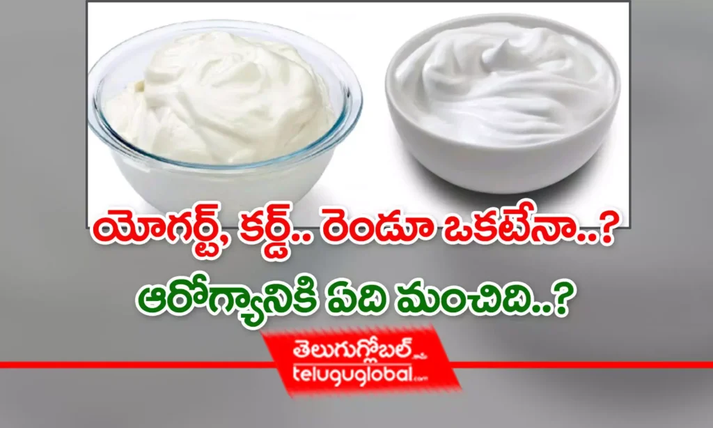 యోగర్ట్