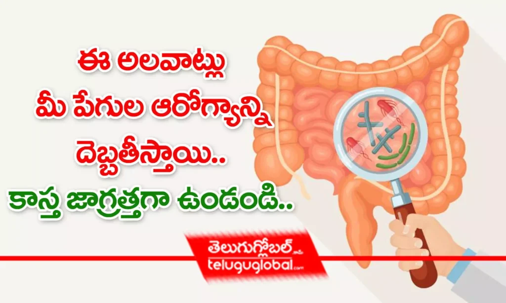 ఈ అలవాట్లు మీ పేగుల ఆరోగ్యాన్ని దెబ్బ తీస్తాయి.. కాస్త జాగ్రత్తగా ఉండండి