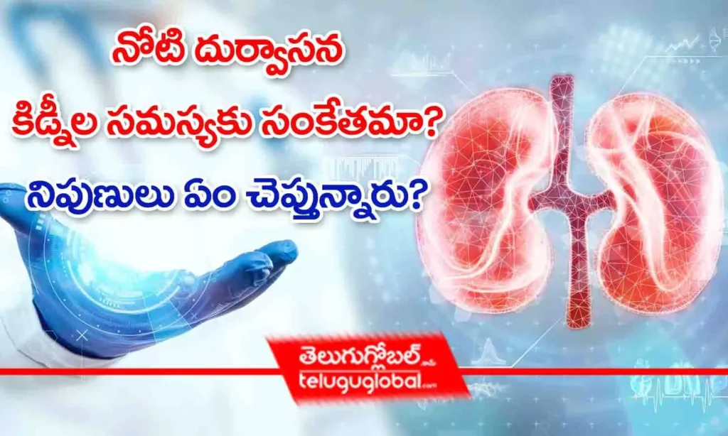 నోటి దుర్వాసన కిడ్నీల సమస్యకు సంకేతమా? నిపుణులు ఏం చెప్తున్నారు?