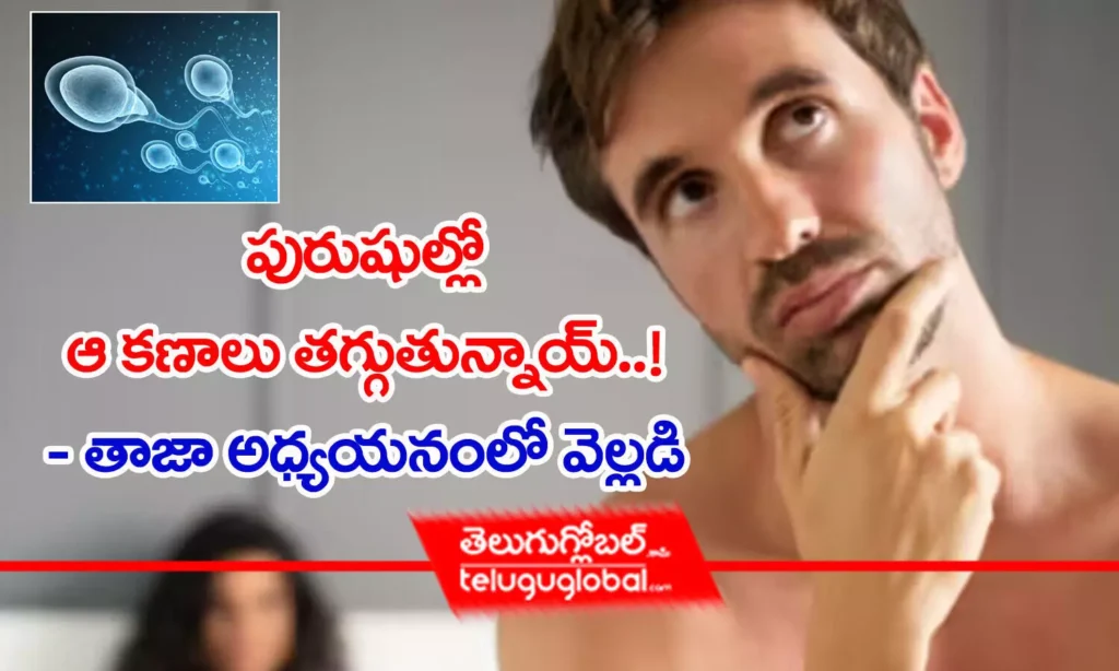 పురుషుల్లో ఆ క‌ణాలు త‌గ్గుతున్నాయ్‌..!    - తాజా అధ్య‌య‌నంలో వెల్ల‌డి
