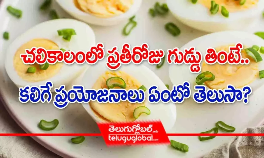 చలికాలంలో ప్రతీ రోజూ గుడ్డు తింటే.. కలిగే ప్రయోజనాలు ఏంటో తెలుసా?