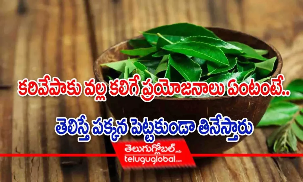 కరివేపాకు వల్ల కలిగే ప్రయోజనాలు ఏంటంటే.. తెలిస్తే పక్కన పెట్టకుండా తినేస్తారు