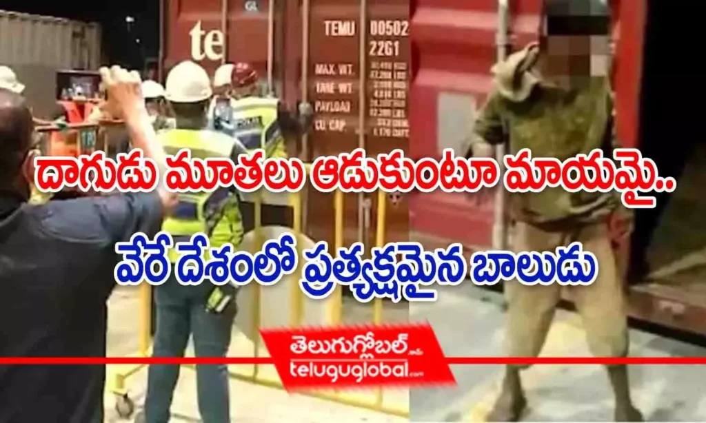 దాగుడు మూతలు ఆడుకుంటూ మాయమై.. వేరే దేశంలో ప్రత్యక్షమైన బాలుడు