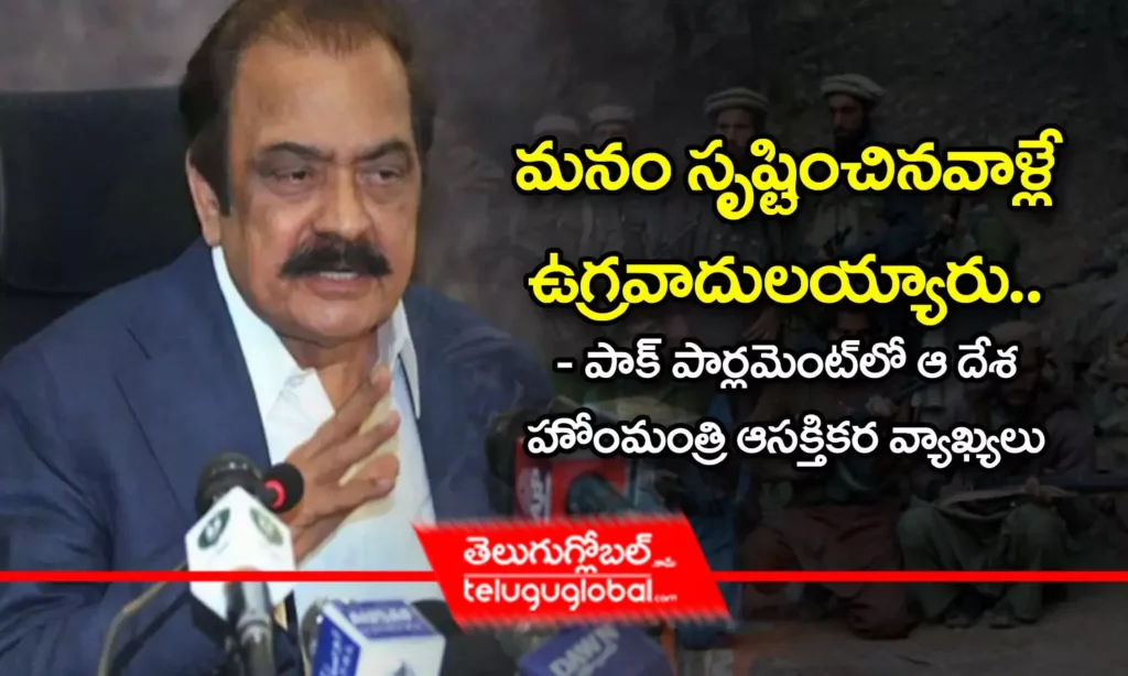 మ‌నం సృష్టించిన‌వాళ్లే ఉగ్ర‌వాదుల‌య్యారు.. - పాక్ పార్ల‌మెంటులో ఆ దేశ‌ హోంమంత్రి ఆస‌క్తిక‌ర వ్యాఖ్య‌లు
