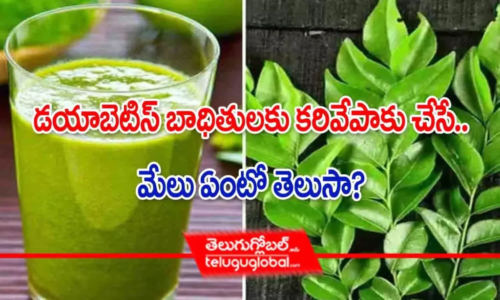 డయాబెటిస్ బాధితులకు కరివేపాకు చేసే మేలు ఏంటో తెలుసా?